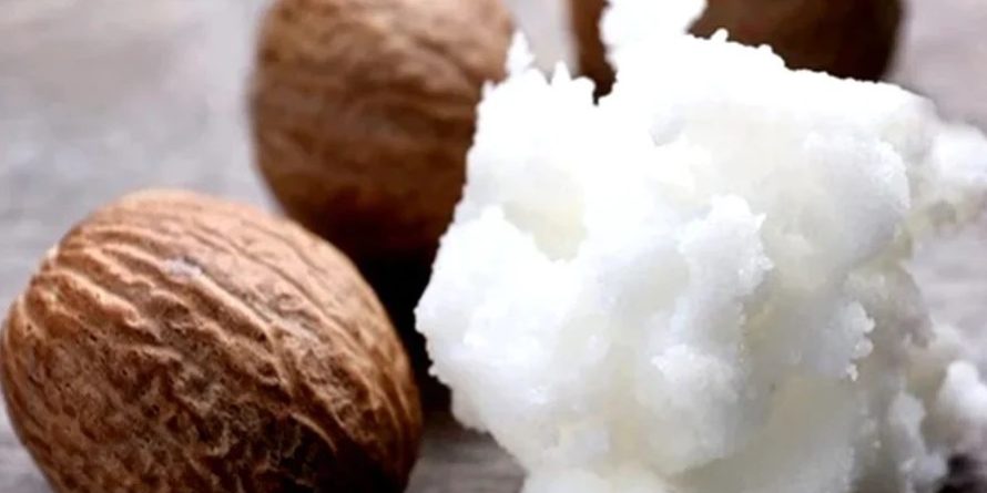 Untul de Shea si semintele