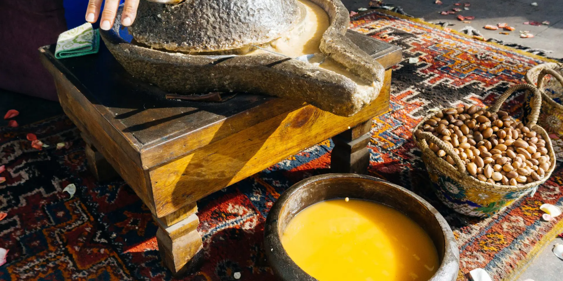 Argan-Oil-cold-press-extraction_1 Uleiul de Argan - aurul lichid din Maroc